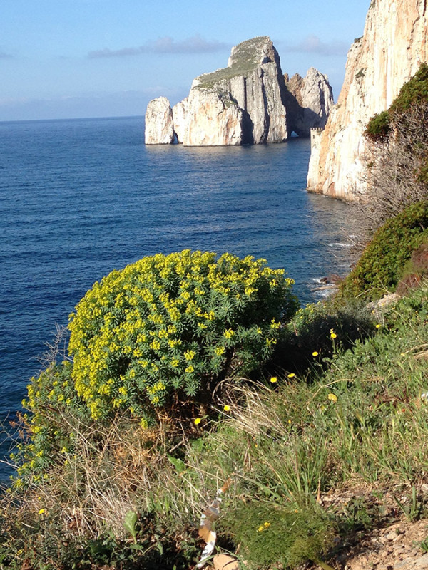 PAN DI ZUCCHERO MAUSA_3516