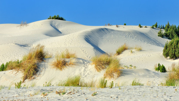 Dune di Porto Pino, S. Anna Arresi